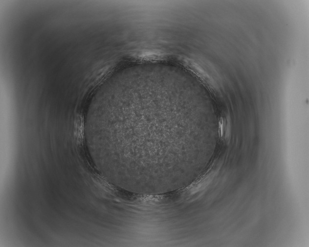 X0000111481251200907210941