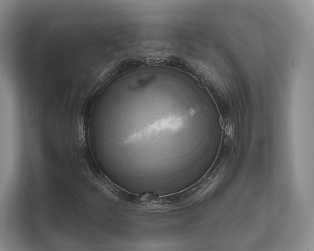 X0000111481252200907210941