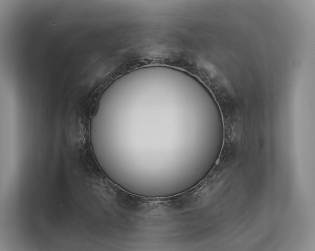 X0000111481253200907210941