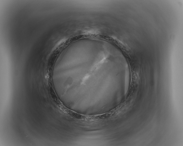 X0000111481254200907210941