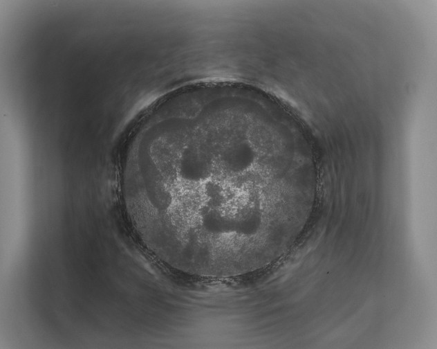 X0000111481255200907210941