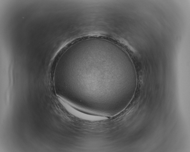 X0000111481256200907210941