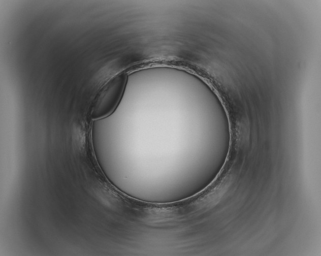 X0000111481257200907210941