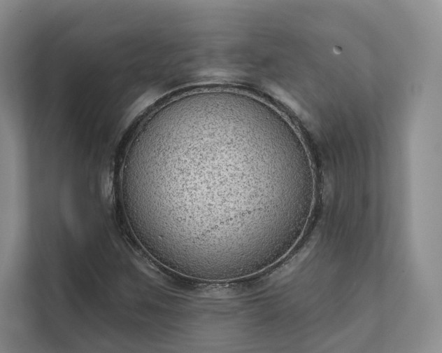 X0000111481259200907210941