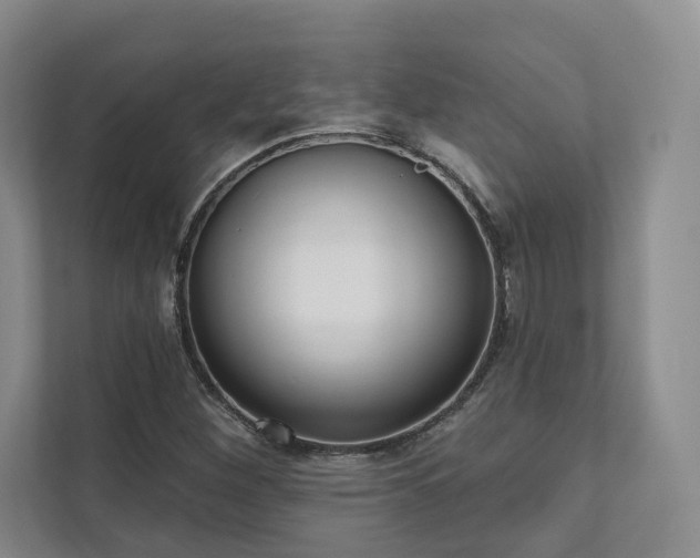 X0000111481260200907210941