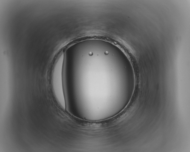 X0000111481261200907210941