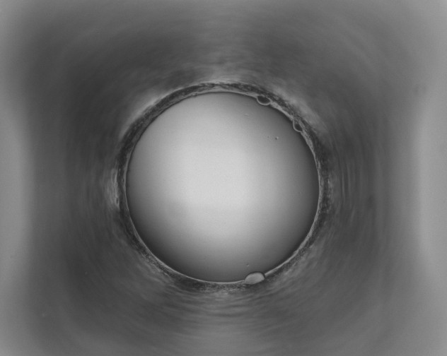 X0000111481262200907210941