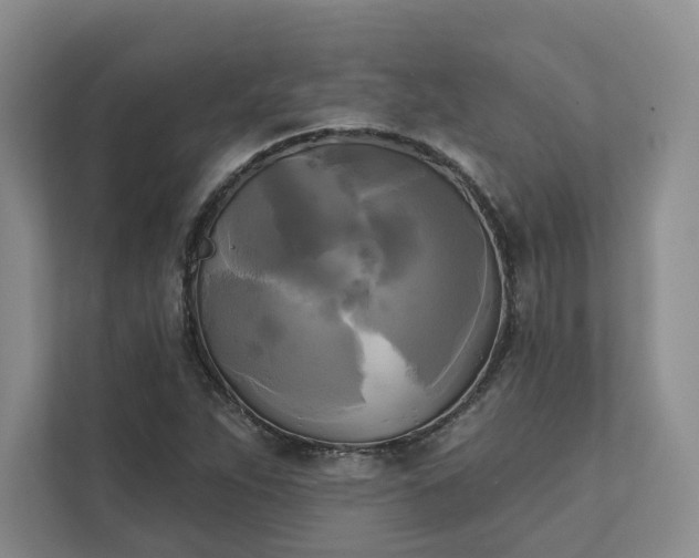X0000111481263200907210941