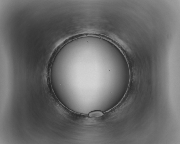 X0000111481264200907210941