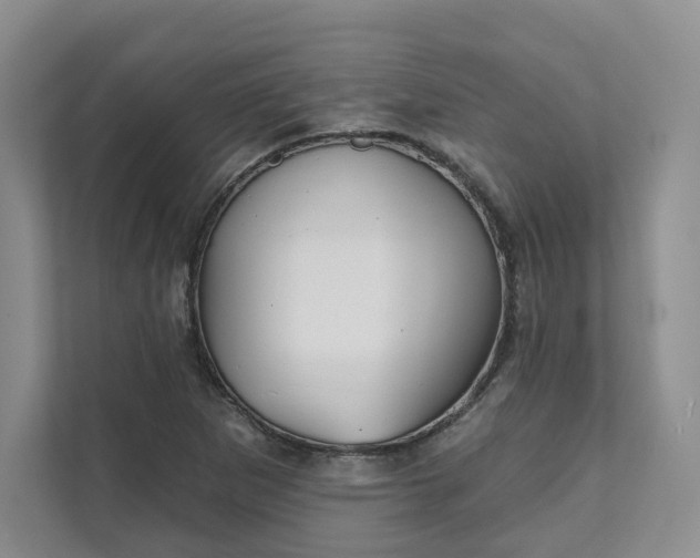 X0000111481265200907210941