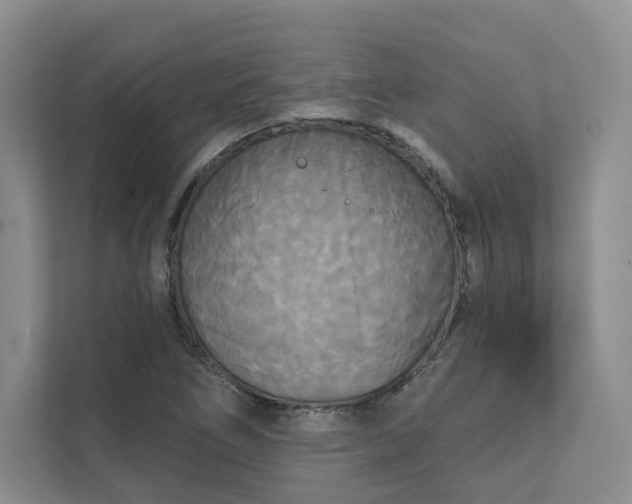 X0000111481266200907210941