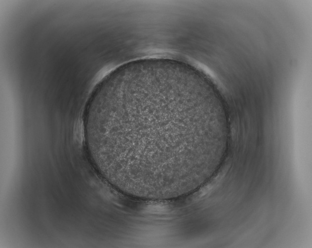 X0000111481267200907210941
