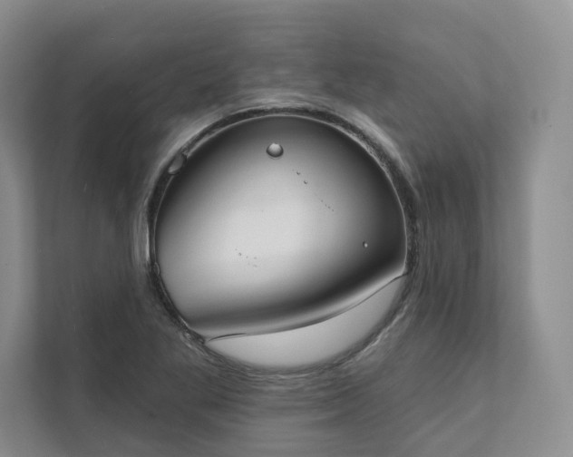 X0000111481269200907210941