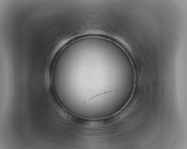 X0000111481271200907210941
