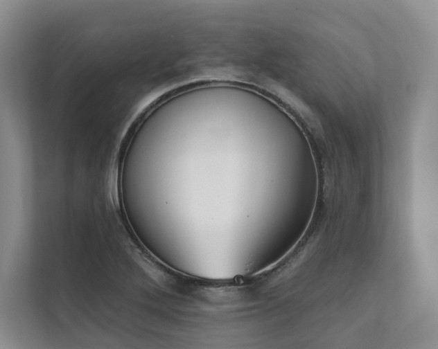 X0000111481272200907210941