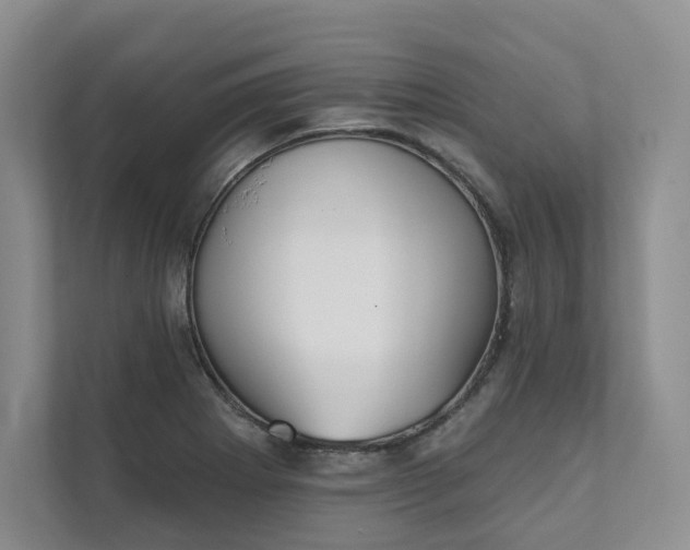 X0000111481273200907210941