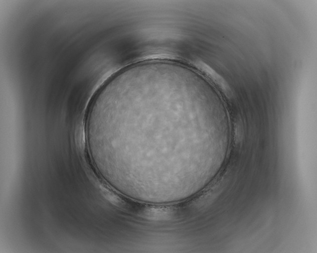 X0000111481274200907210941