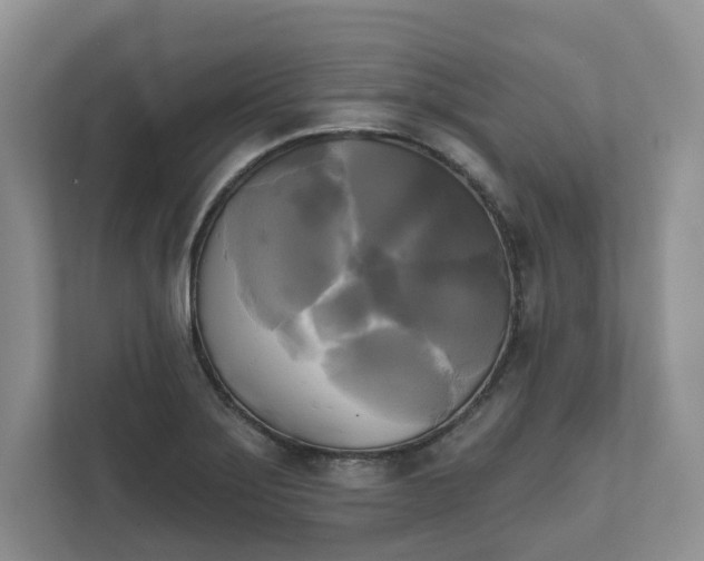 X0000111481275200907210941