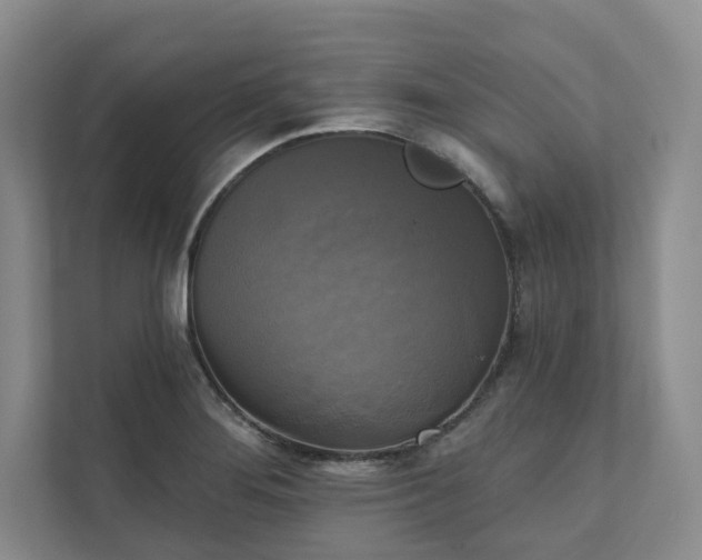 X0000111481276200907210941