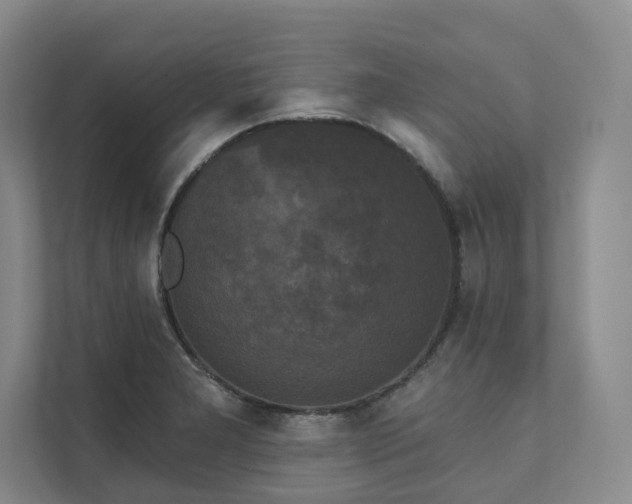 X0000111481277200907210941
