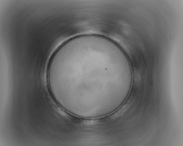 X0000111481278200907210941
