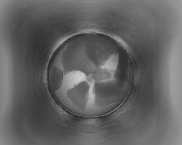 X0000111481279200907210941