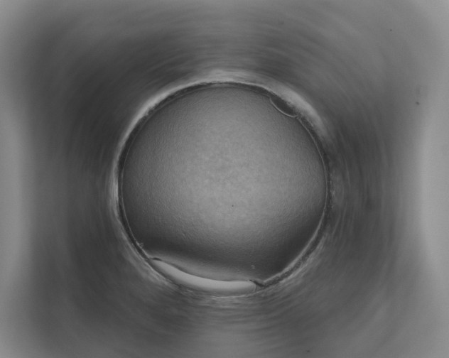 X0000111481280200907210941