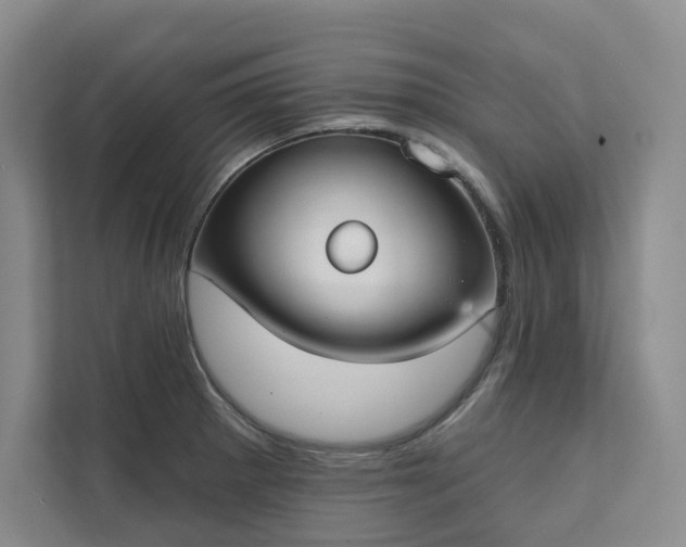 X0000111481281200907210941