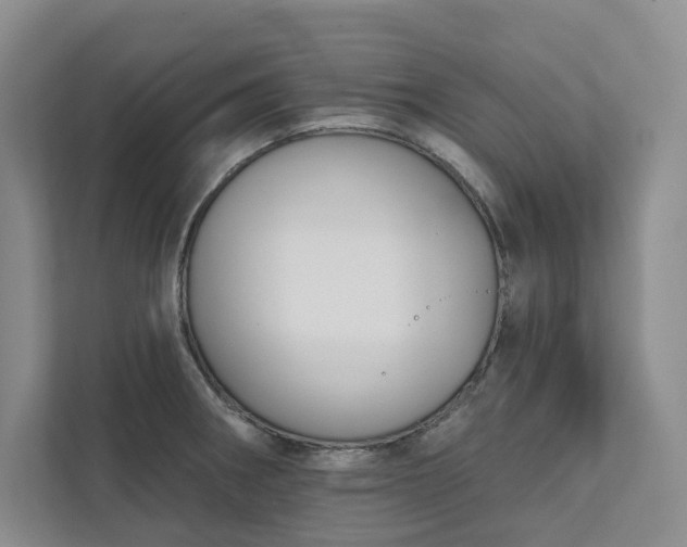 X0000111481282200907210941