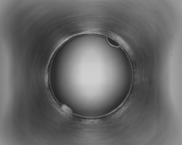 X0000111481284200907210941