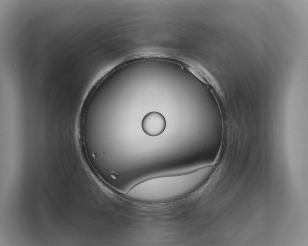 X0000111481285200907210941
