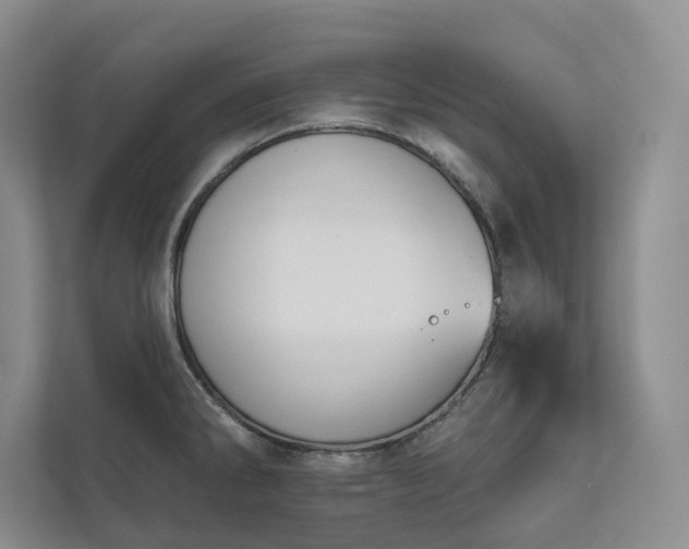 X0000111481286200907210941