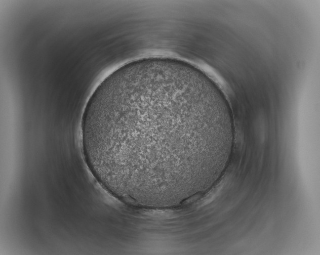 X0000111481287200907210941