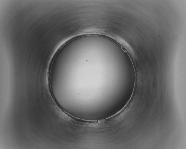 X0000111481288200907210941