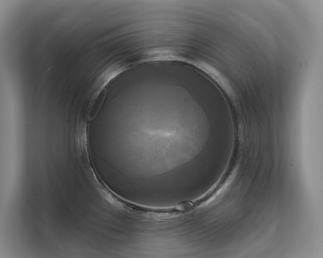 X0000111481289200907210941