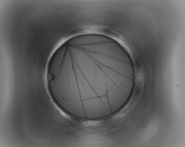 X0000111481294200907210941