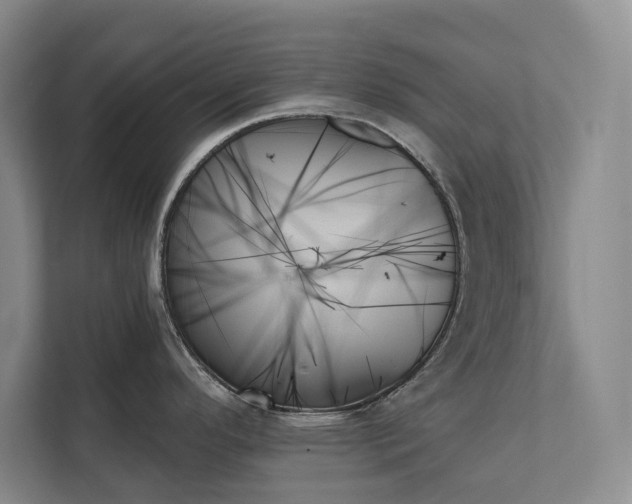 X0000111481296200907210941