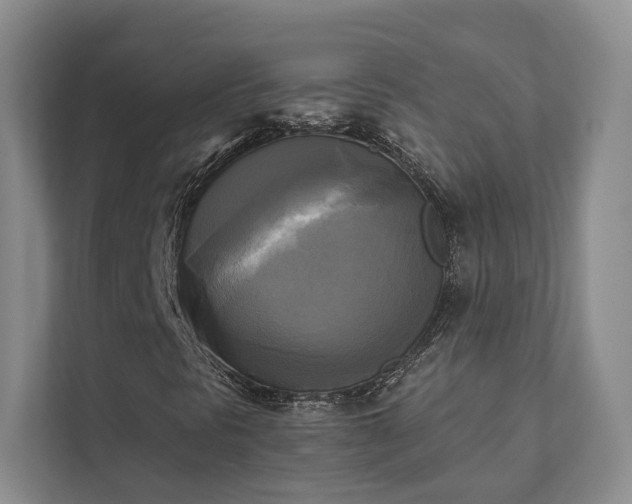 X0000111481297200907210940