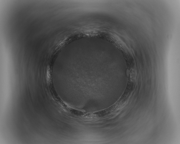 X0000111481298200907210940