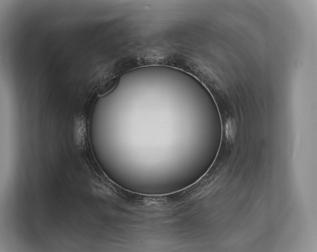 X0000111481299200907210940