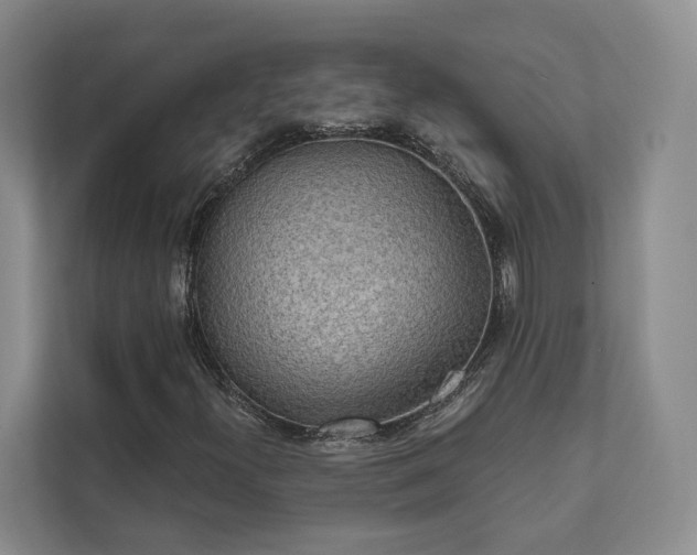 X0000111481300200907210940