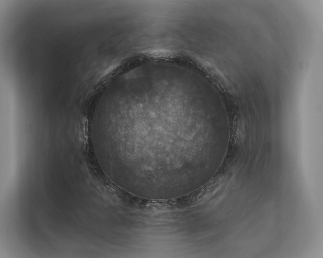 X0000111481301200907210940