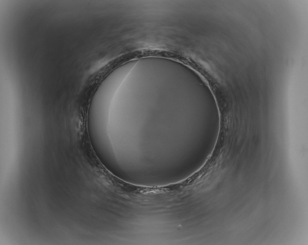 X0000111481303200907210940