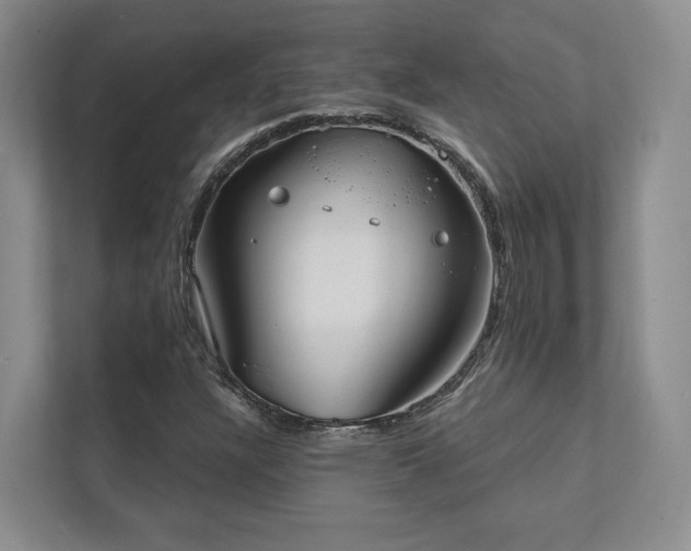 X0000111481304200907210940
