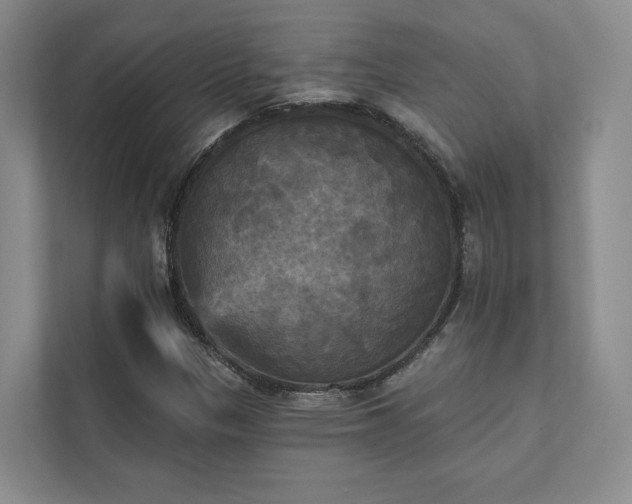 X0000111481305200907210940