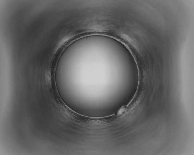 X0000111481307200907210940