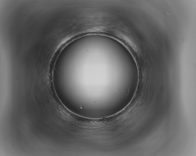 X0000111481308200907210940