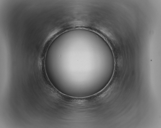 X0000111481309200907210940