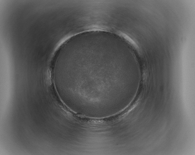 X0000111481310200907210940