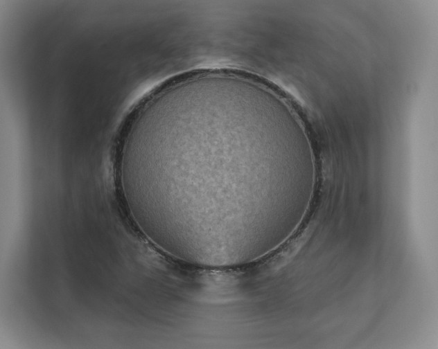 X0000111481311200907210940